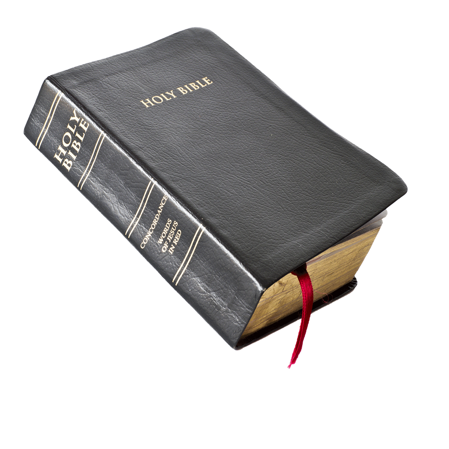 Holy Bible PNG – Open Book Transparent Image 12