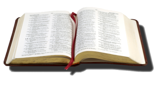Holy Bible PNG – Open Book Transparent Image 14