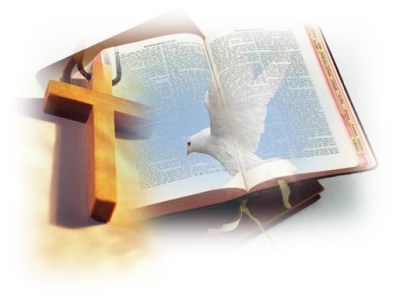Holy Bible PNG – Open Book Transparent Image