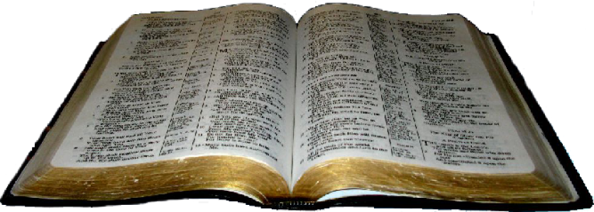 Holy Bible PNG – Open Book Transparent Image 20