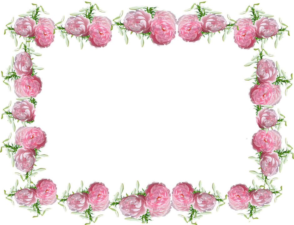 Bingkai Bunga PNG