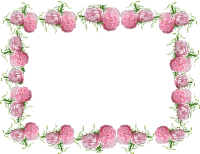 Bingkai Bunga PNG