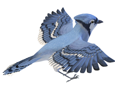 Flying Birds Transparent Image