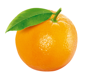 orange,fresh,Orange