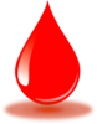 Blood Drop PNG Transparent