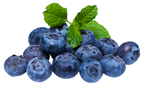 Blueberries PNG Transparent