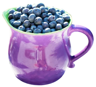 Blueberries PNG Transparent
