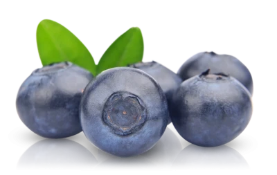 Blueberries PNG Transparent