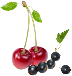 Blueberries PNG Transparent