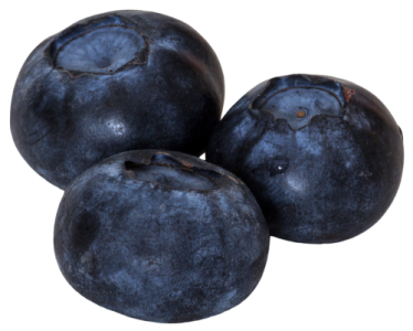 Blueberries PNG Transparent
