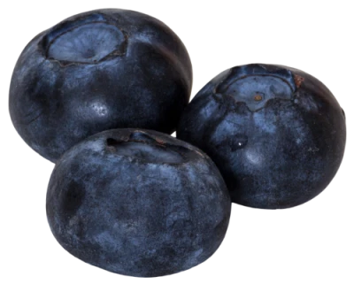 Blueberries PNG Transparent