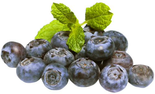 Blueberries PNG Transparent