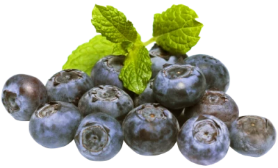Blueberries PNG Transparent