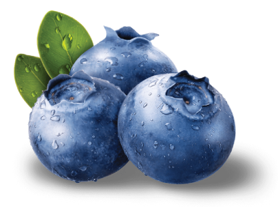 Blueberries PNG Transparent