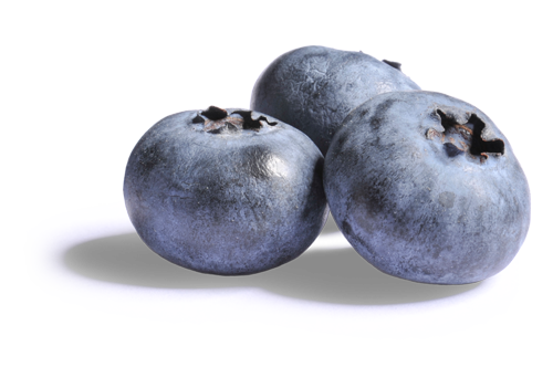 Blueberries PNG Transparent