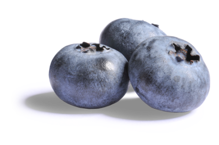 Blueberries PNG Transparent