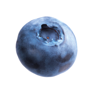 Blueberries PNG Transparent
