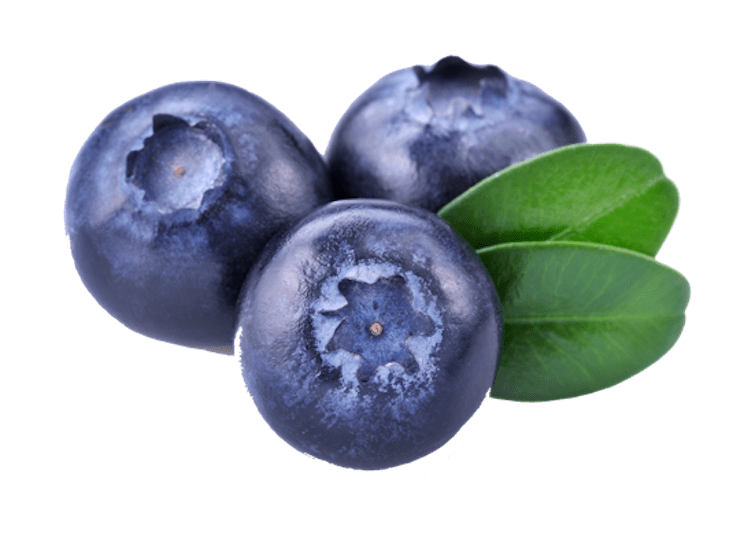 Blueberries PNG Transparent