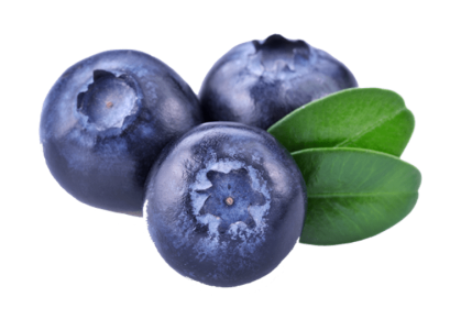 Blueberries PNG Transparent