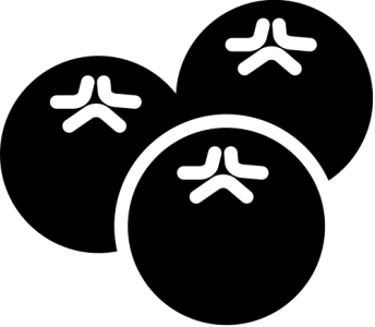 Blueberries PNG Transparent