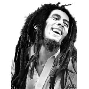 Bob Marley Portrait PNG Download