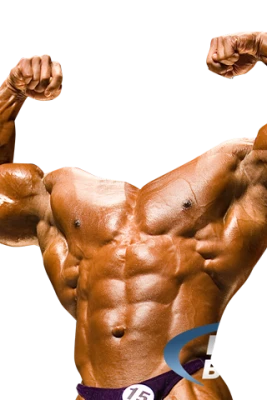 Bodybuilder PNG Transparent
