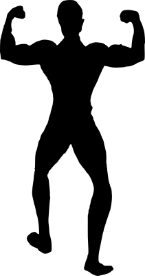 Bodybuilder PNG Transparent