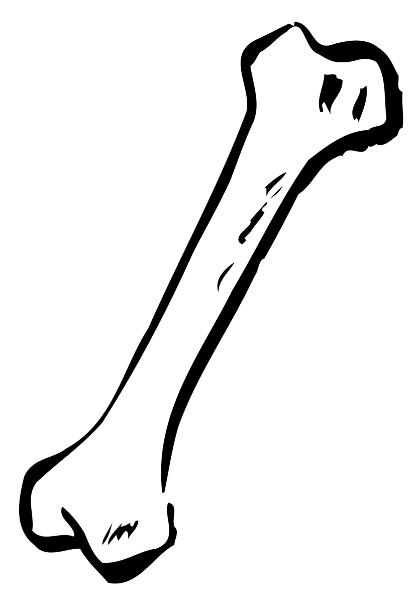 Bone Clipart PNG Transparent 2
