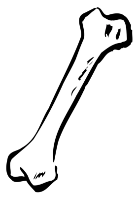 Bone Clipart PNG Transparent