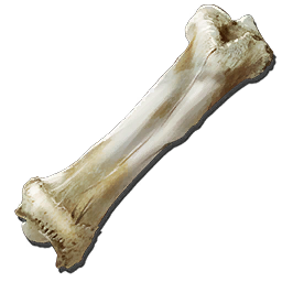 Bone Clipart PNG Transparent 5