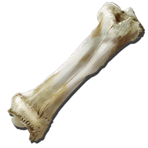 Bone Clipart PNG Transparent 5