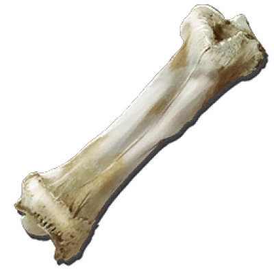 Bone Clipart PNG Transparent