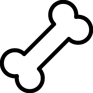 Bone Clipart PNG Transparent 16