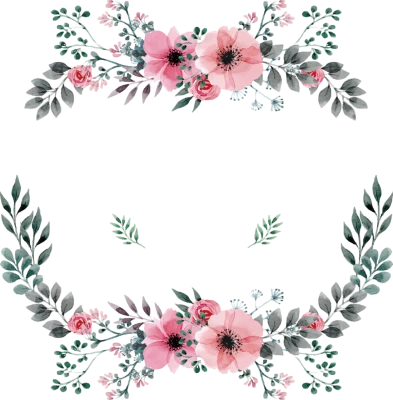 Border PNG Transparent