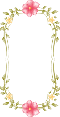Border PNG Transparent