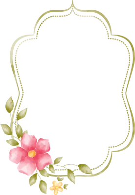 Border PNG Transparent