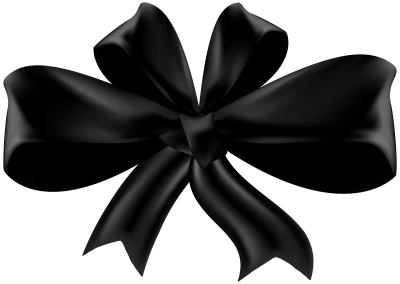 Ribbon Bow PNG Download