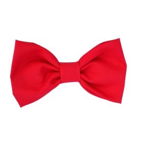 Bow Tie PNG Transparent Image 4