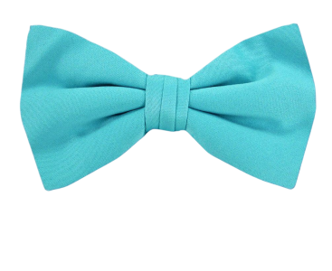 Bow Tie PNG Transparent Image 8