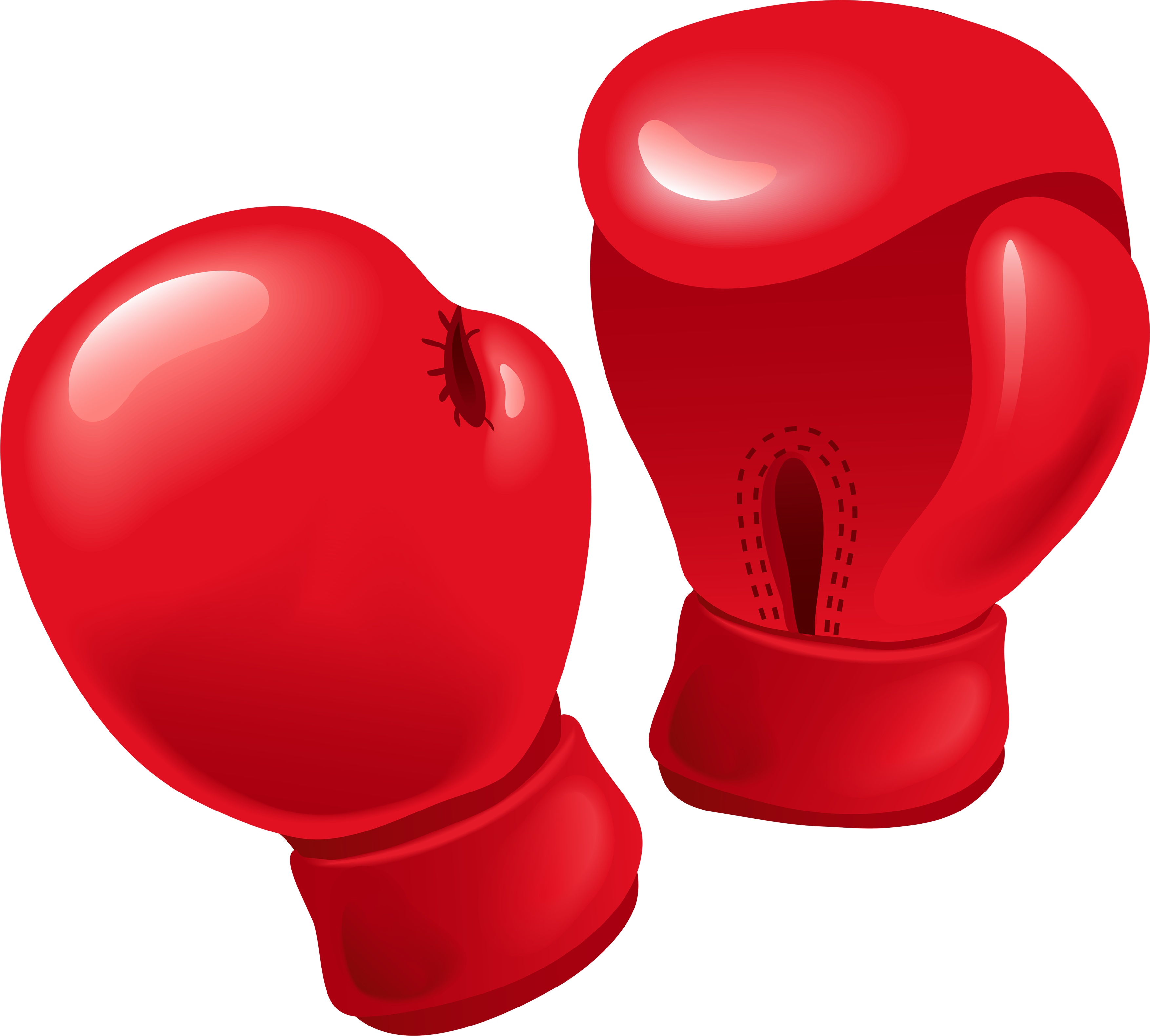 Boxing Gloves PNG Transparent Image 1