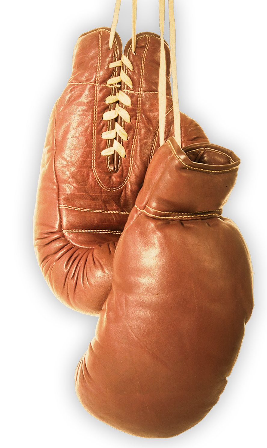 Boxing Gloves PNG Transparent Image 2