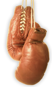 Boxing Gloves PNG Transparent Image 2