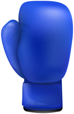 Boxing Gloves PNG Transparent Image