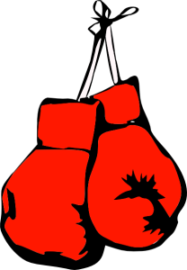 Boxing Gloves PNG Transparent Image 19
