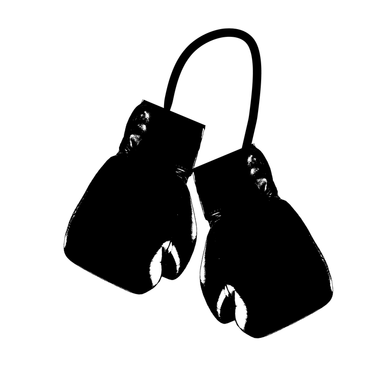 Boxing Gloves PNG Transparent Image 20