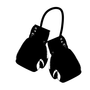 Boxing Gloves PNG Transparent Image 20