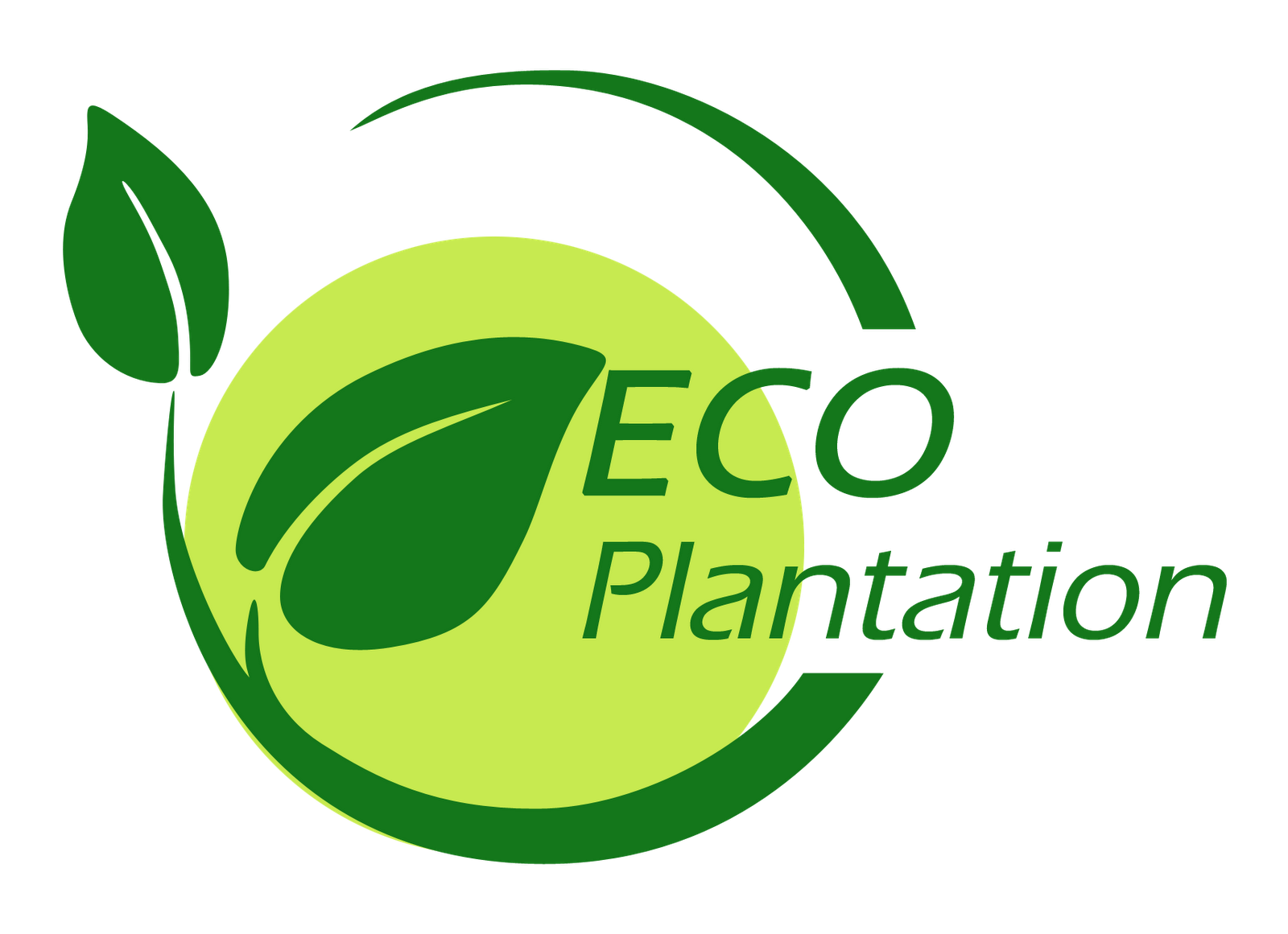 BP Logo PNG Transparent Image