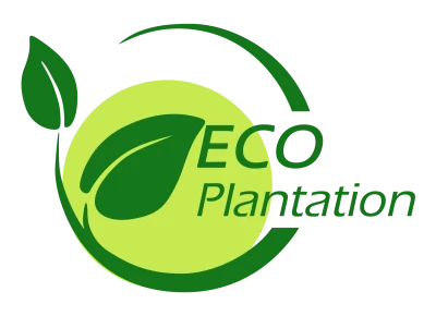 BP Logo PNG Transparent Image