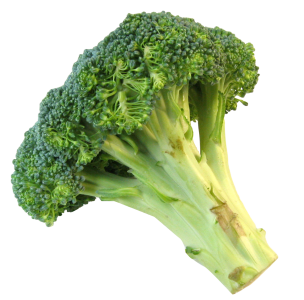 Fresh Broccoli Vegetable PNG Download
