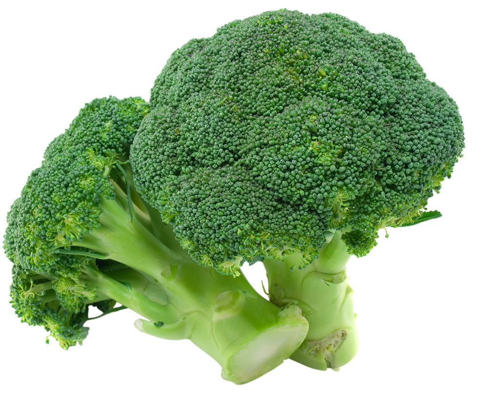 Fresh Broccoli Vegetable PNG Download